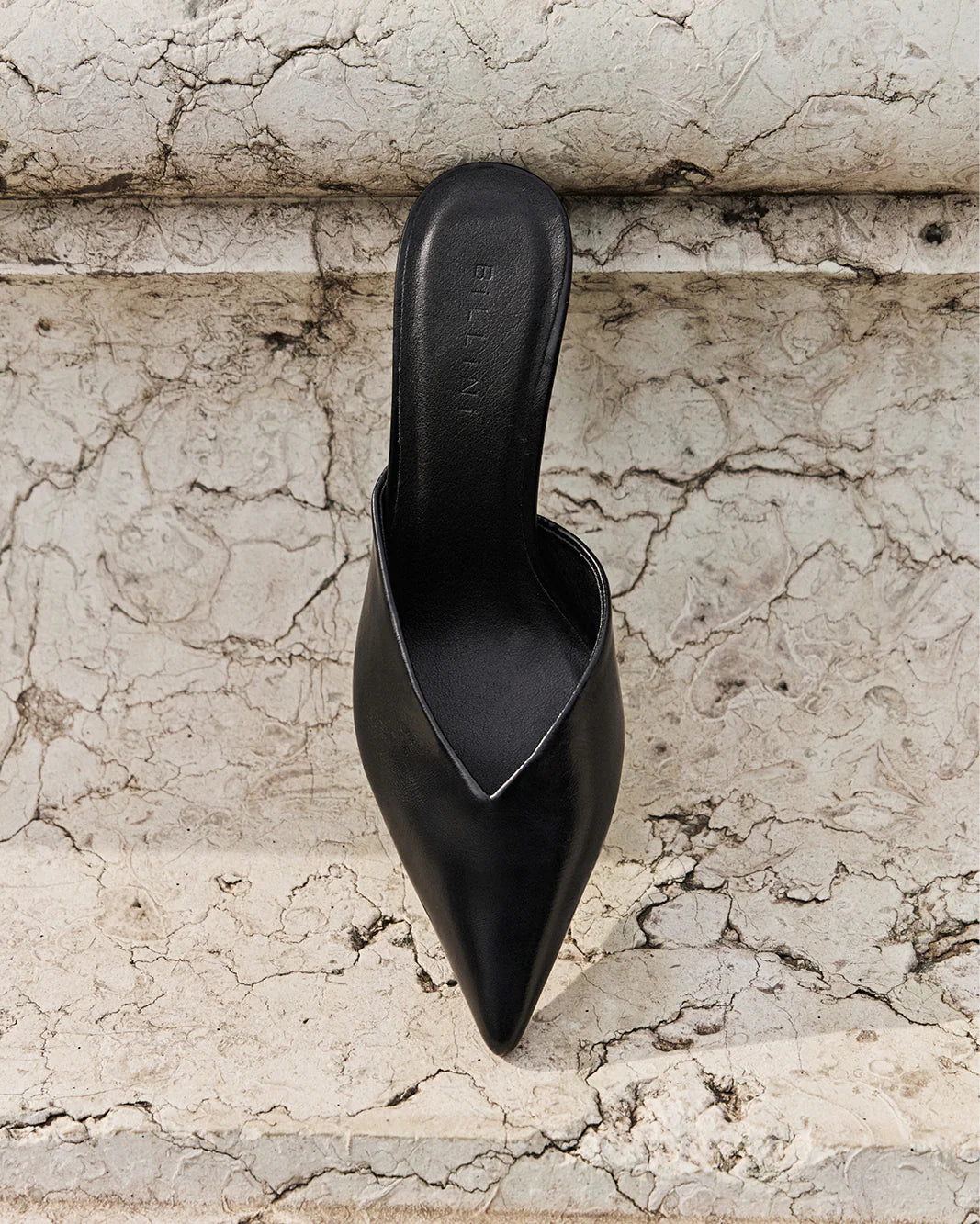 Billini / Karey Black Shine